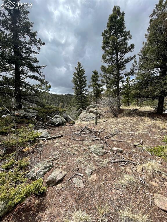 Image 17 of 23: Other