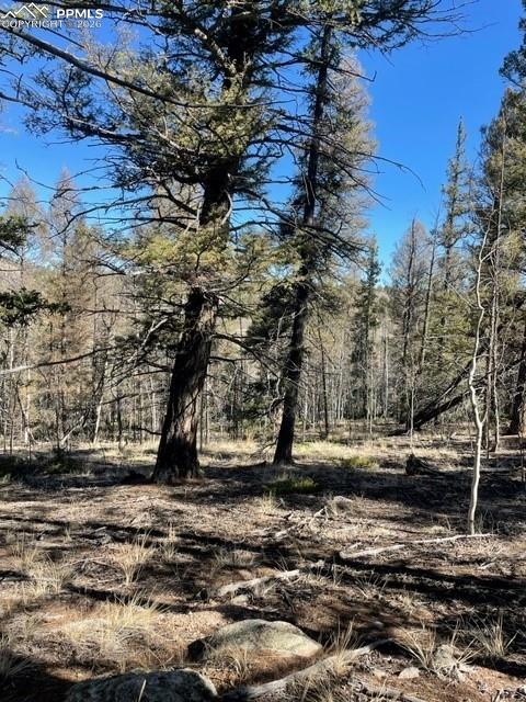 Image 18 of 23: Other