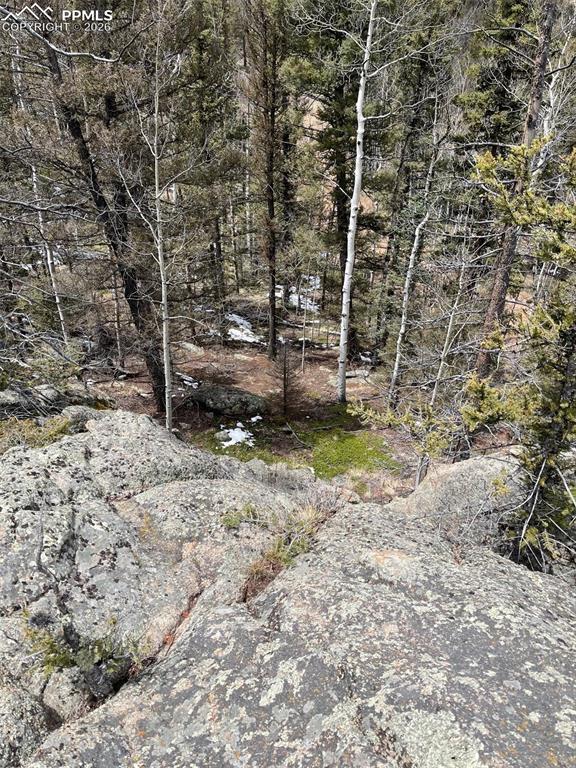 Image 19 of 23: Other