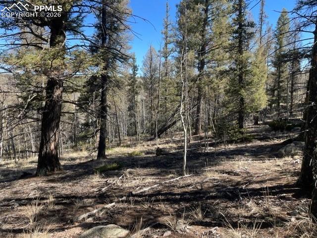 Image 2 of 23: Other