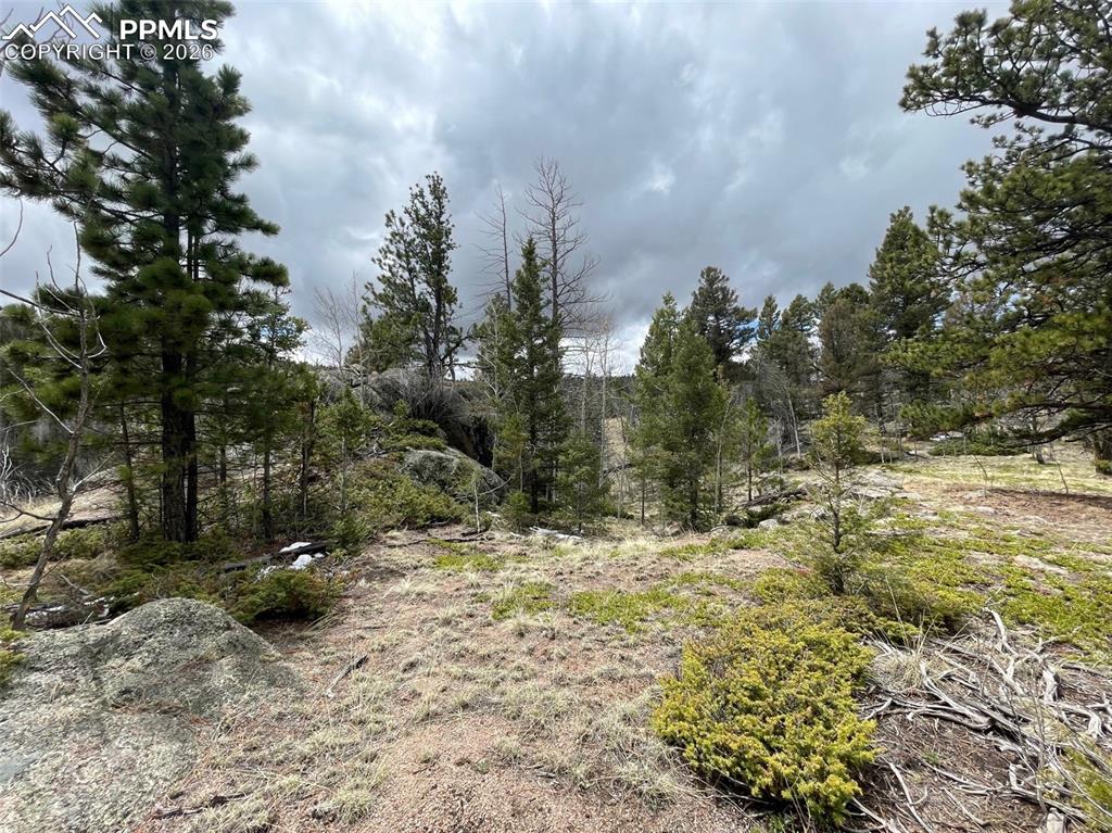 Image 3 of 23: Other