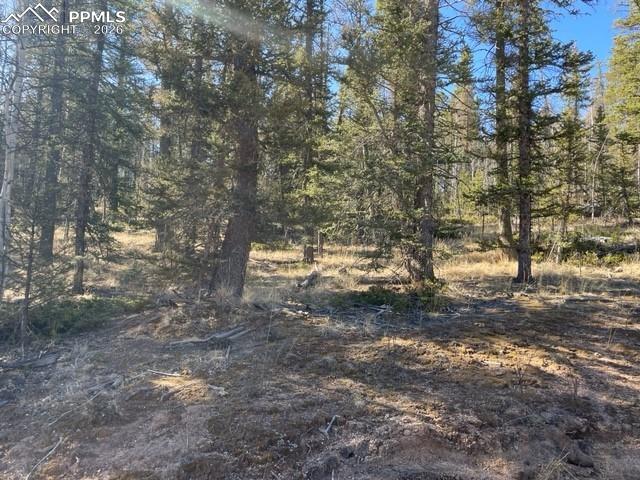 Image 4 of 23: Other