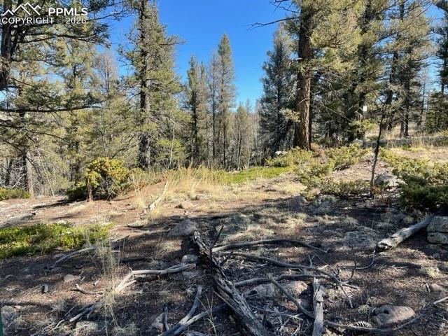 Image 5 of 23: Other