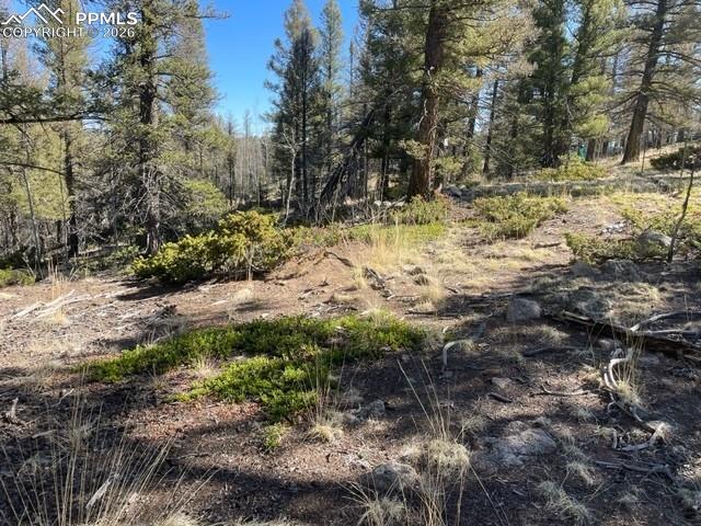 Image 6 of 23: Other