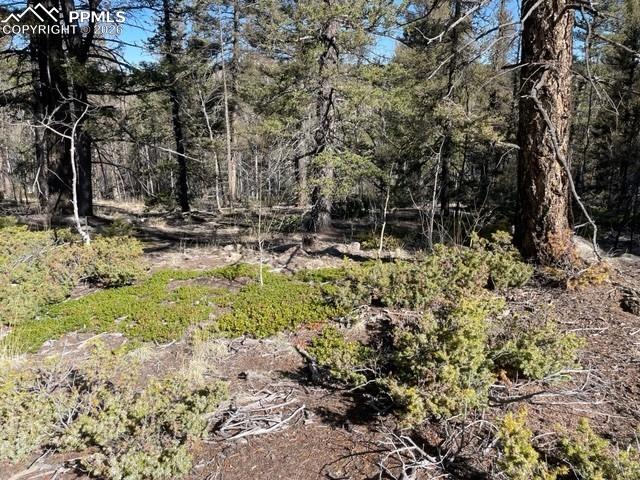 Image 7 of 23: Other