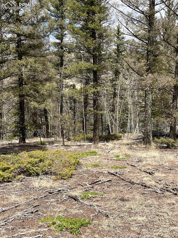 Image 8 of 23: Other