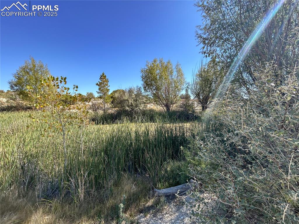 Image 26 of 31: Other