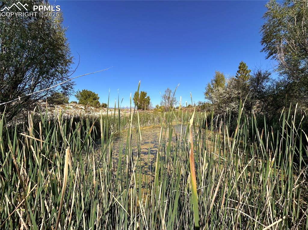 Image 27 of 31: Other