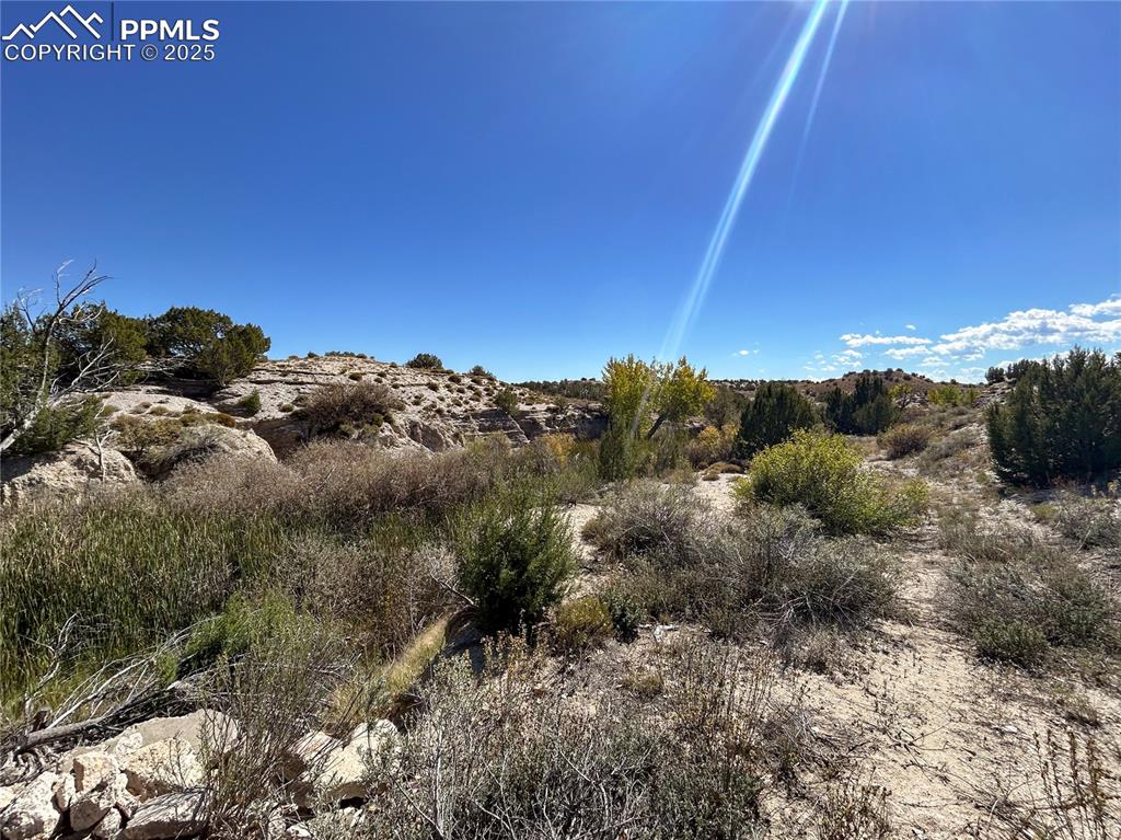 Image 28 of 31: Other