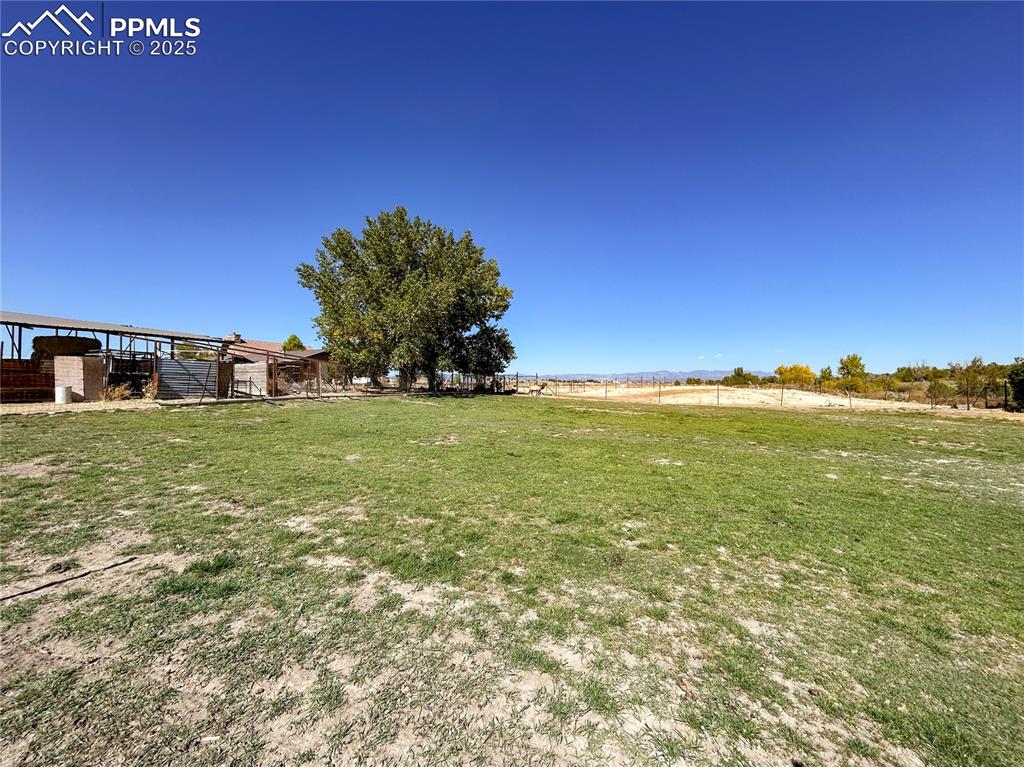 Image 29 of 31: Yard