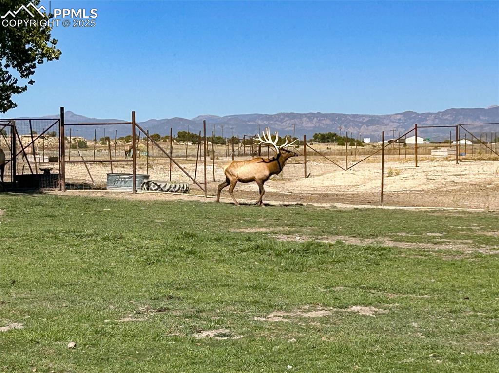 Image 30 of 31: Yard