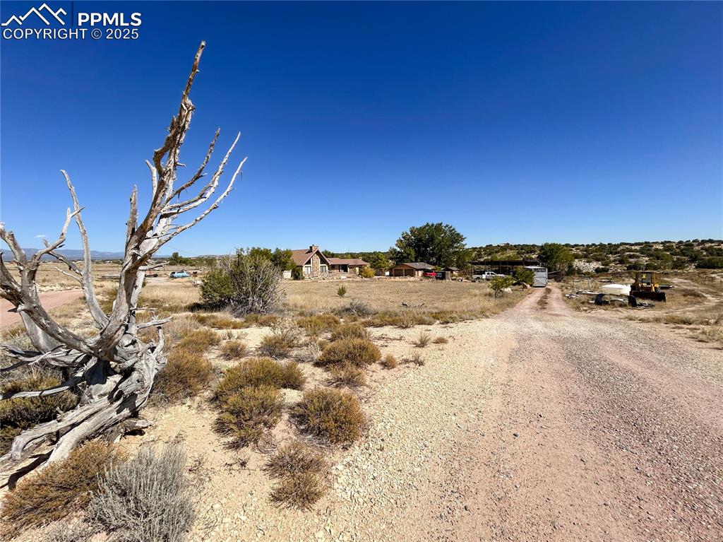 Image 31 of 31: Community