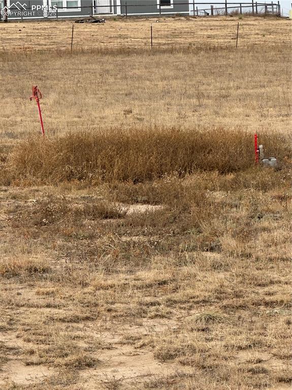 Image 34 of 35: Yard