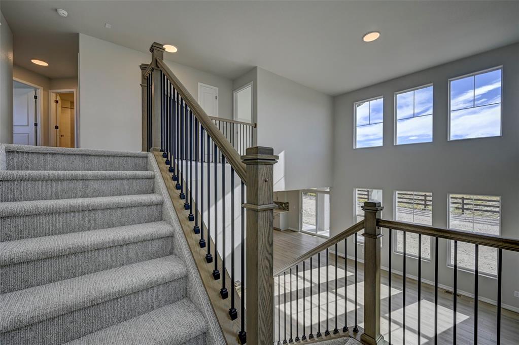 Image 25 of 37: Other