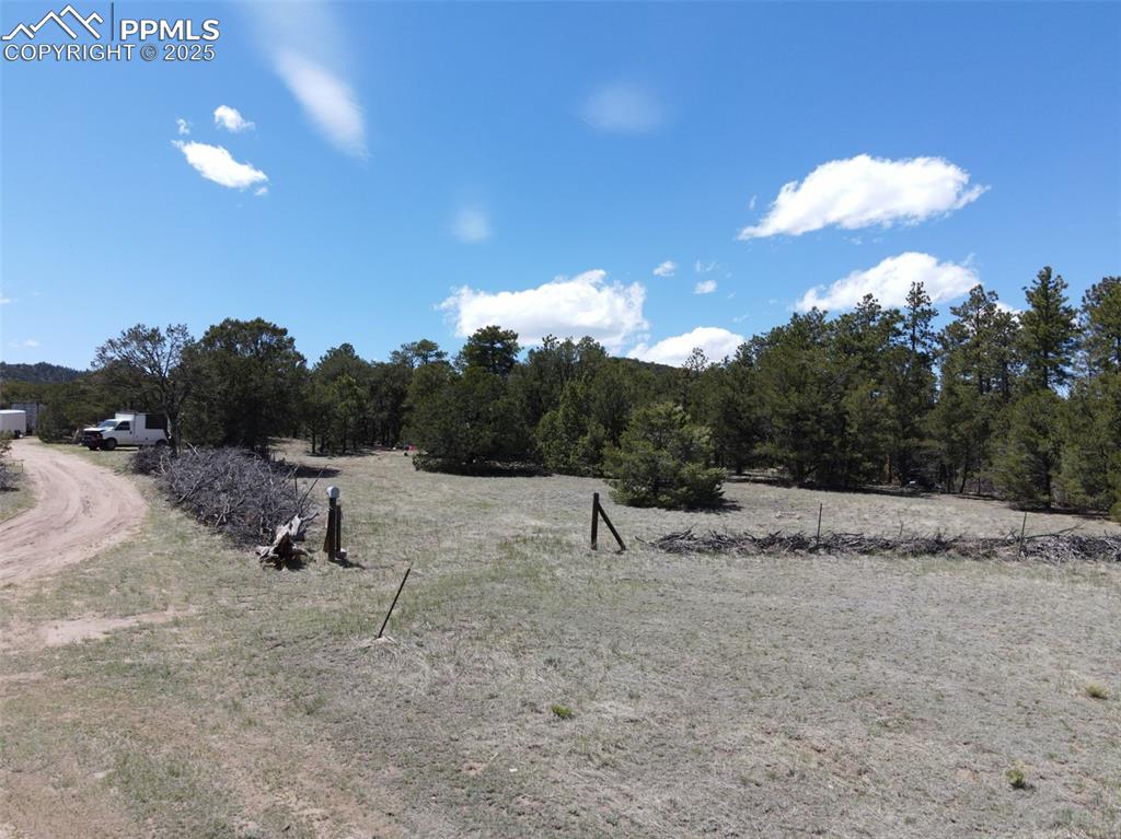 Caption: View of yard with a view of rural / pastoral area and a view of trees
