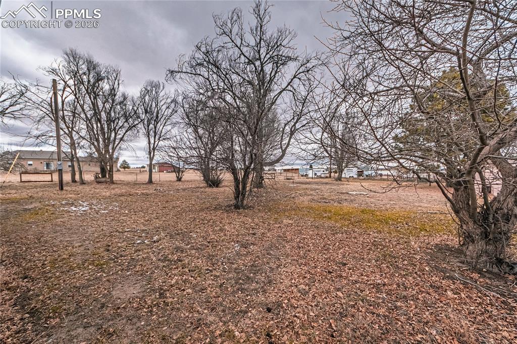 Image 34 of 38: Yard