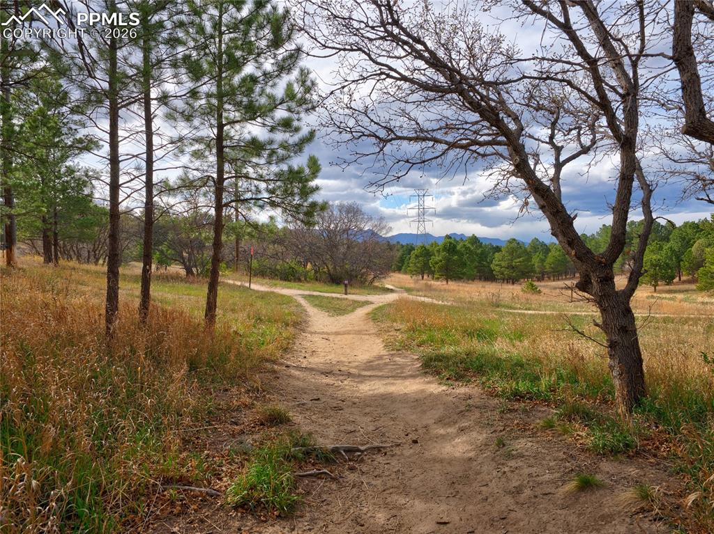 Image 31 of 32: Community