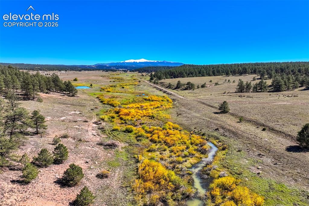 Image 35 of 50: Expansive undeveloped land featuring a meandering stream, natural foliage, 