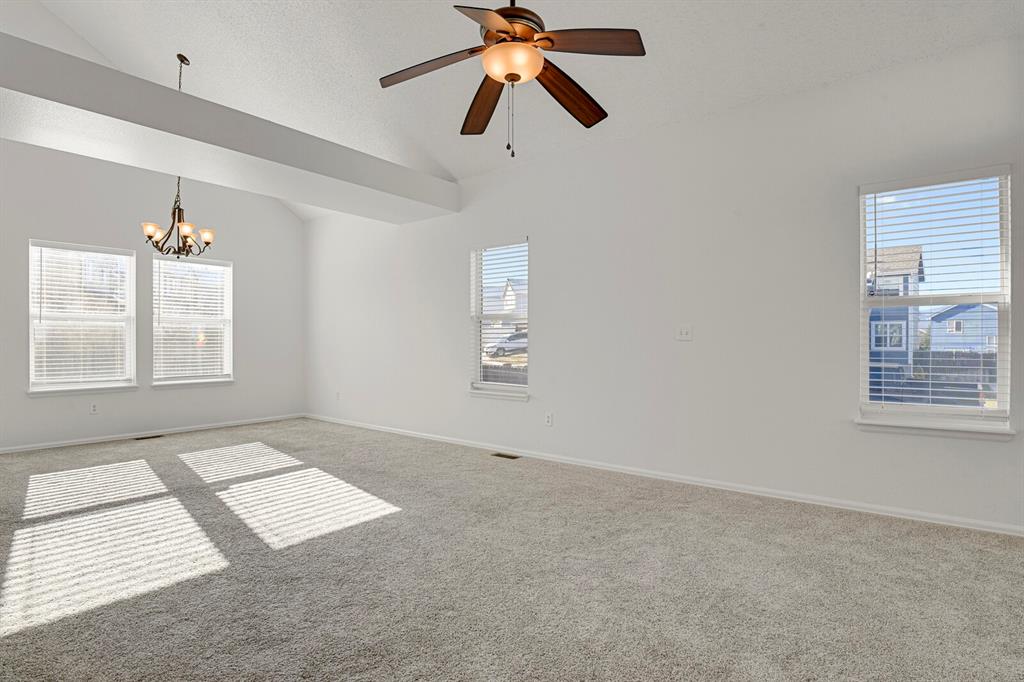 Image 4 of 33: Other