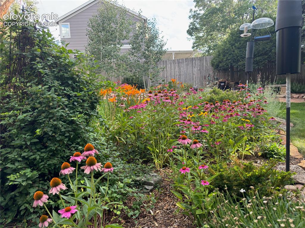 Image 47 of 50: Yard
