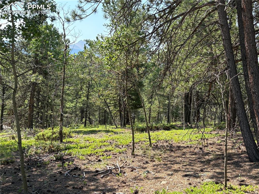 Image 2 of 15: Front of property - View from Elk Ln