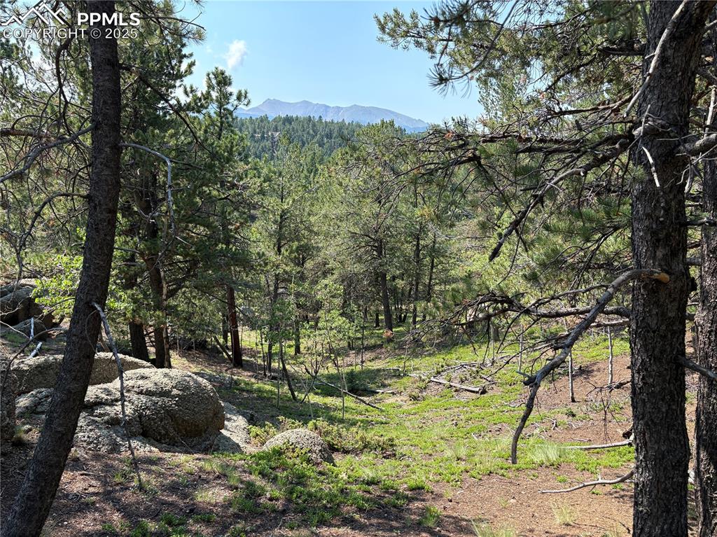 Image 3 of 15: Incredible Pikes Peak views!