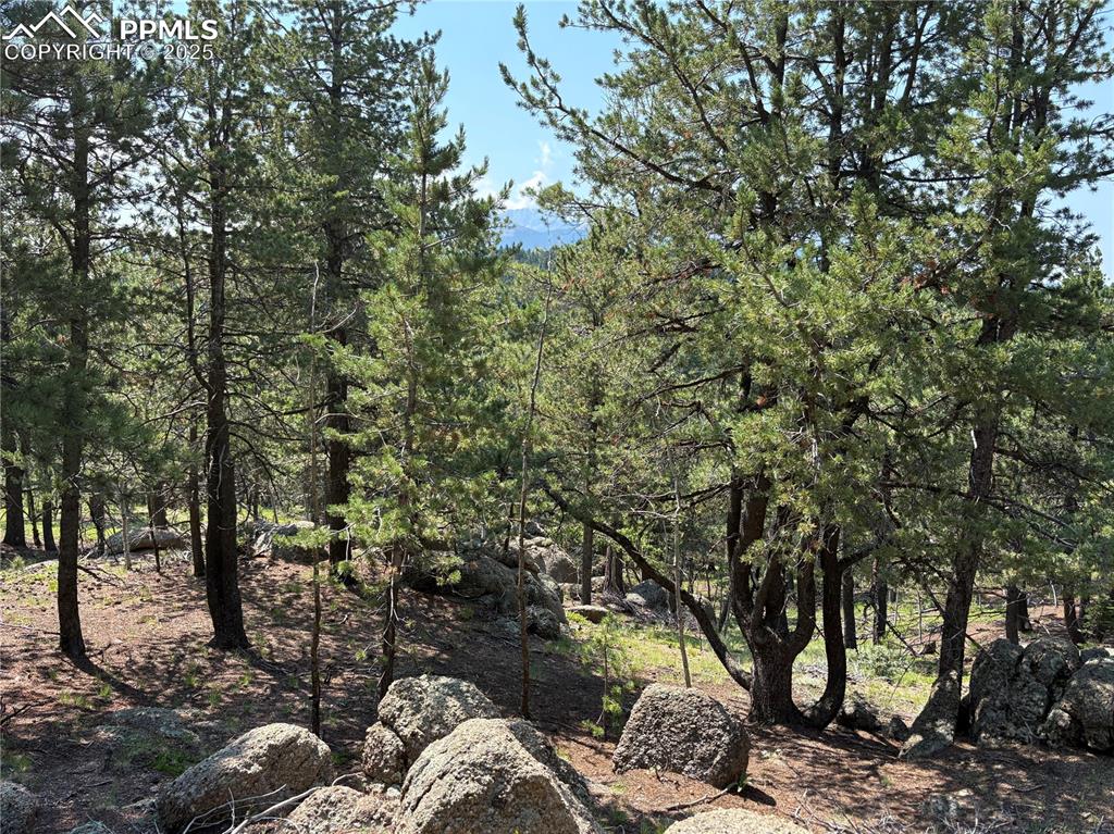 Image 8 of 15: Other