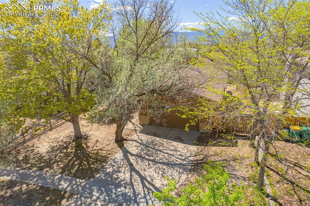 Image 36 of 42: Yard