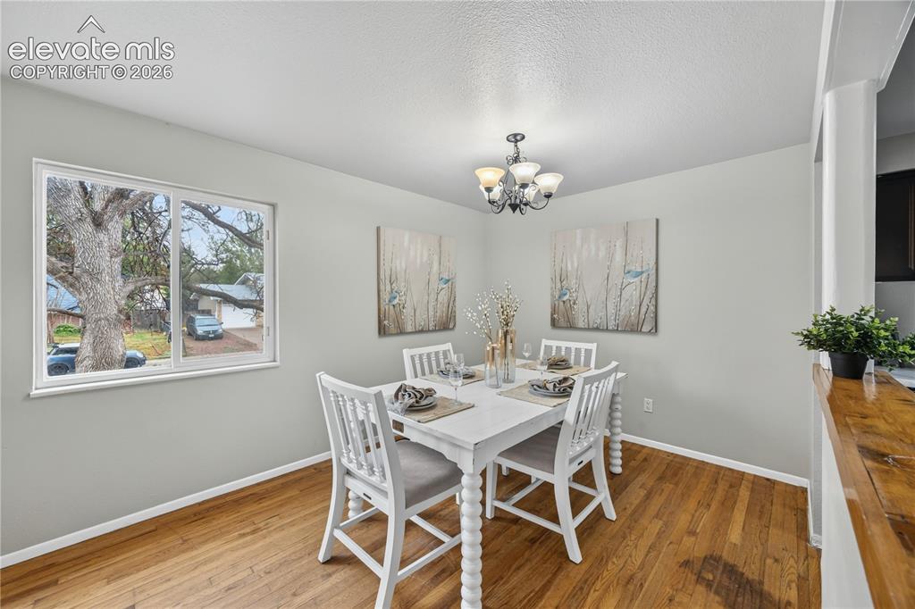 Image 9 of 34: Bright and Open Living Room with gleaming hardwood floors, great for entert