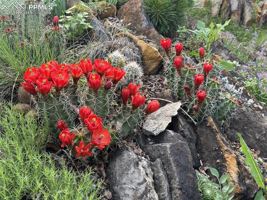 Image 11 of 50: Exterior view