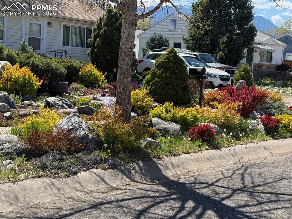 Image 12 of 50: View of yard