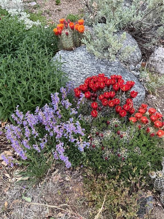 Image 14 of 50: Exterior view