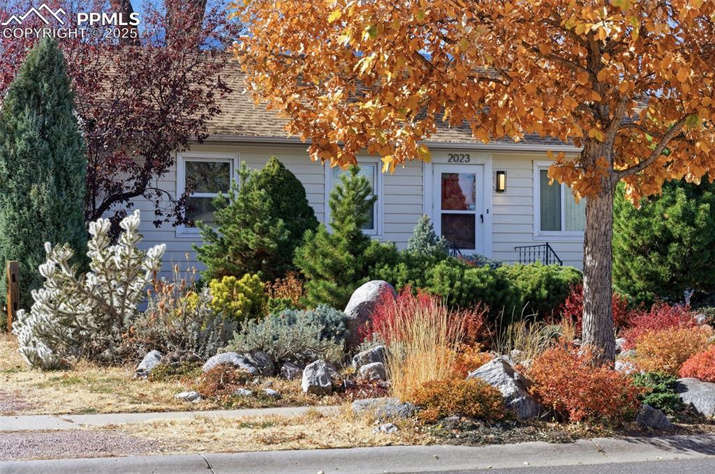 Image 4 of 50: View of property hidden behind natural elements featuring roof with shingle