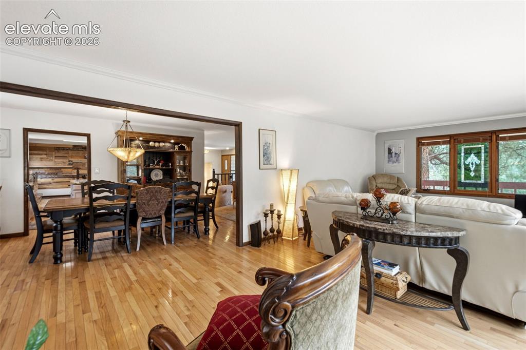Image 18 of 49: Living Room