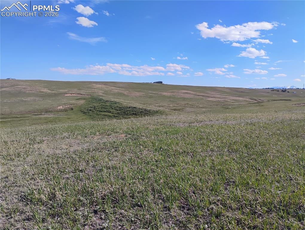 Image 15 of 29: View