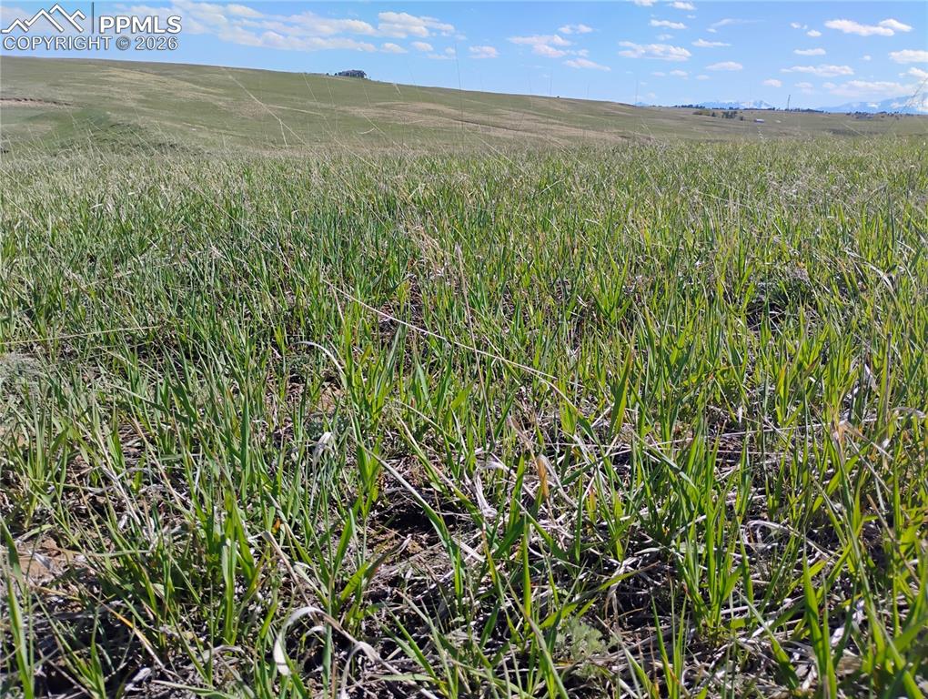 Image 16 of 29: View