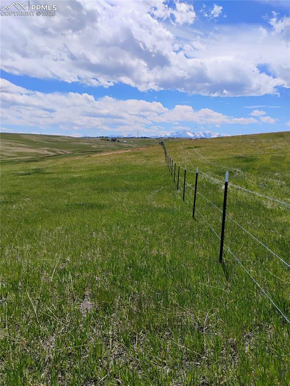 Image 24 of 29: Other