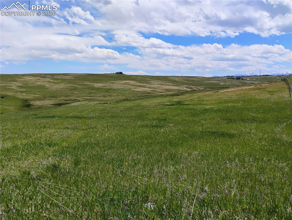 Image 25 of 29: Other