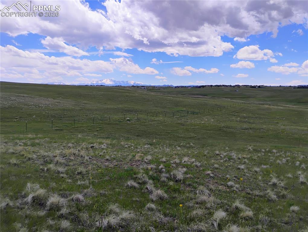 Image 26 of 29: Other