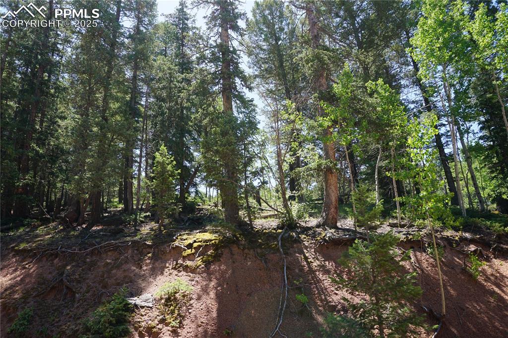 Image 11 of 22: Other