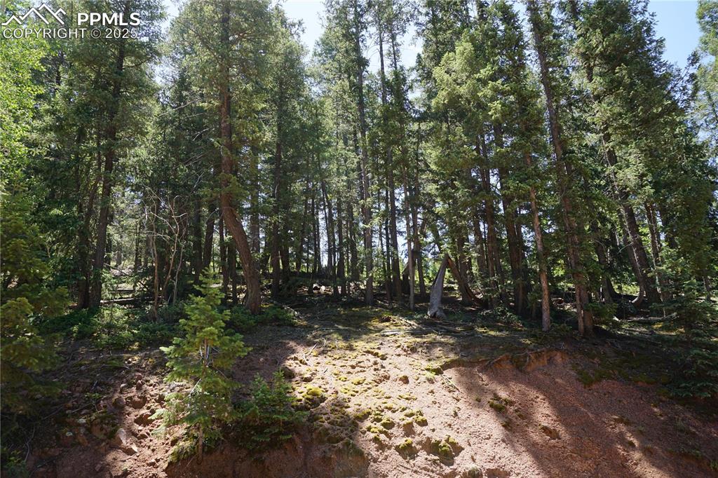 Image 12 of 22: Other