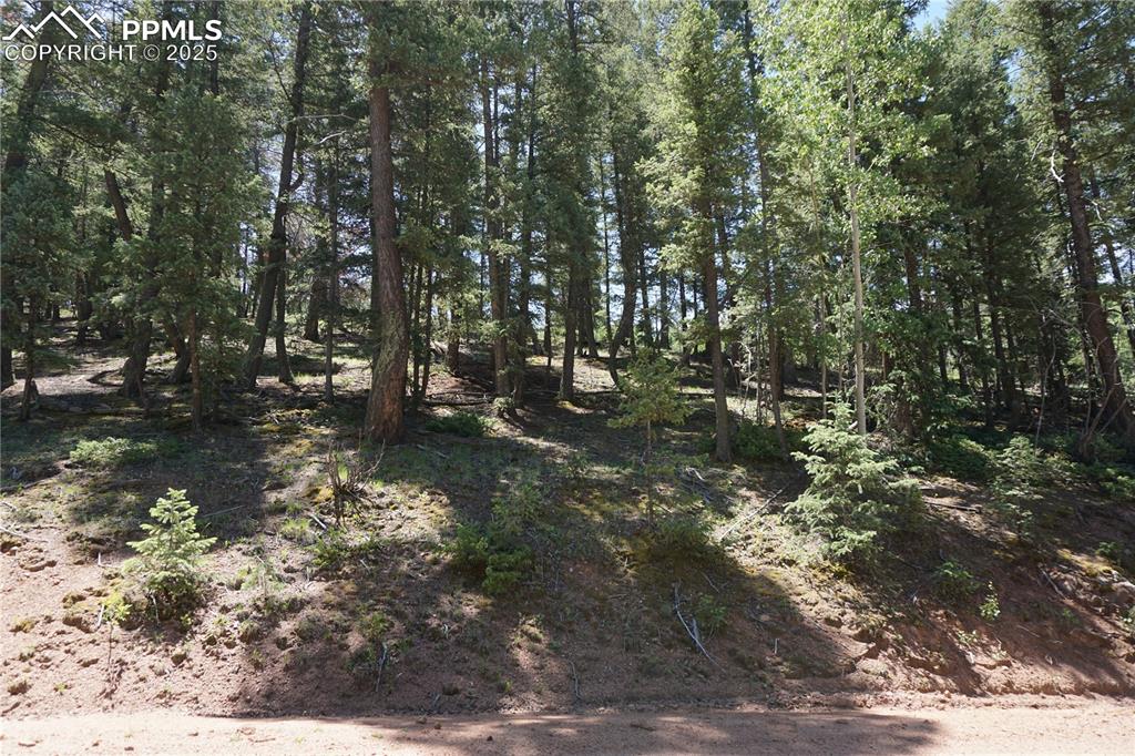 Image 13 of 22: Other