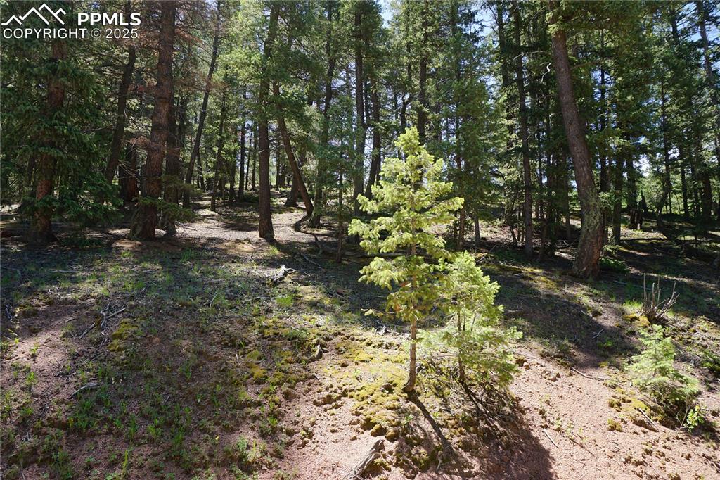 Image 14 of 22: Other