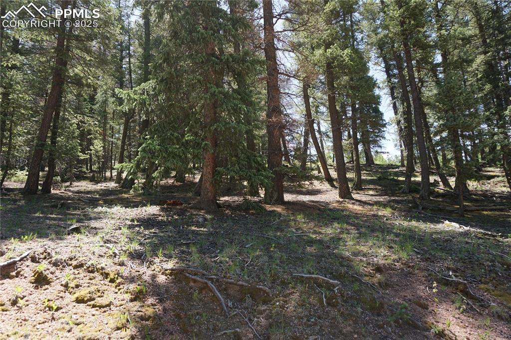 Image 15 of 22: Other