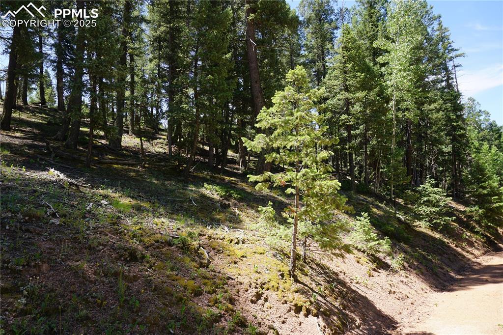 Image 16 of 22: Other