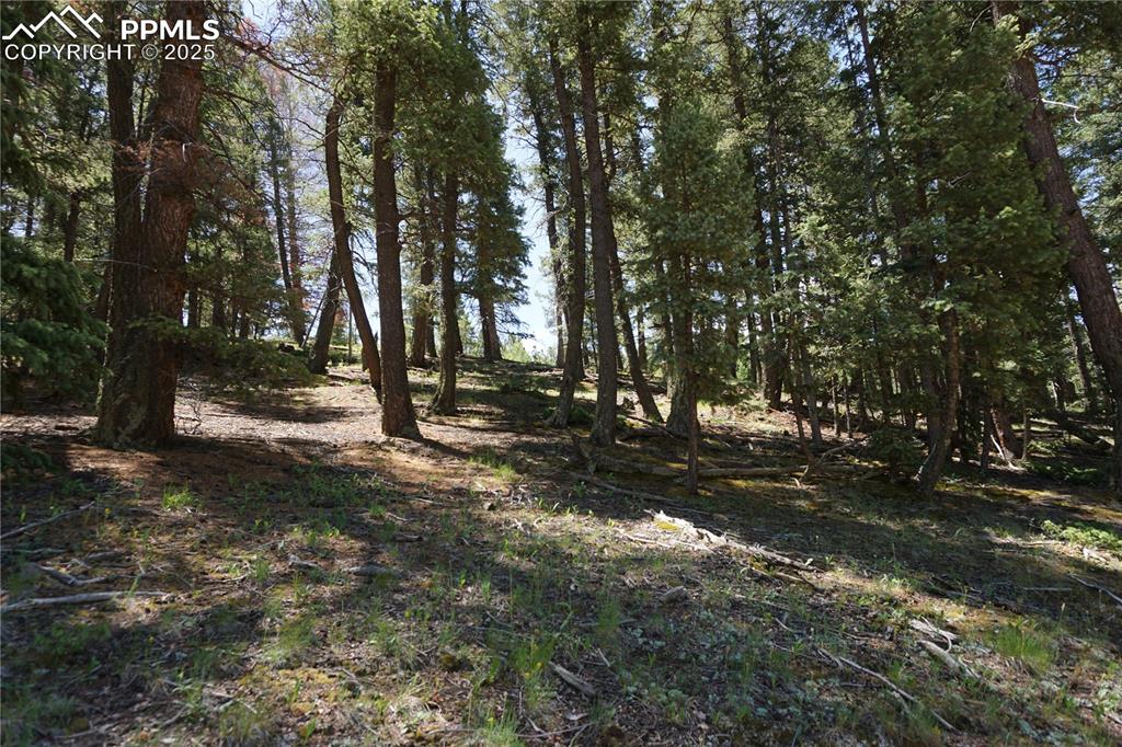 Image 17 of 22: Other