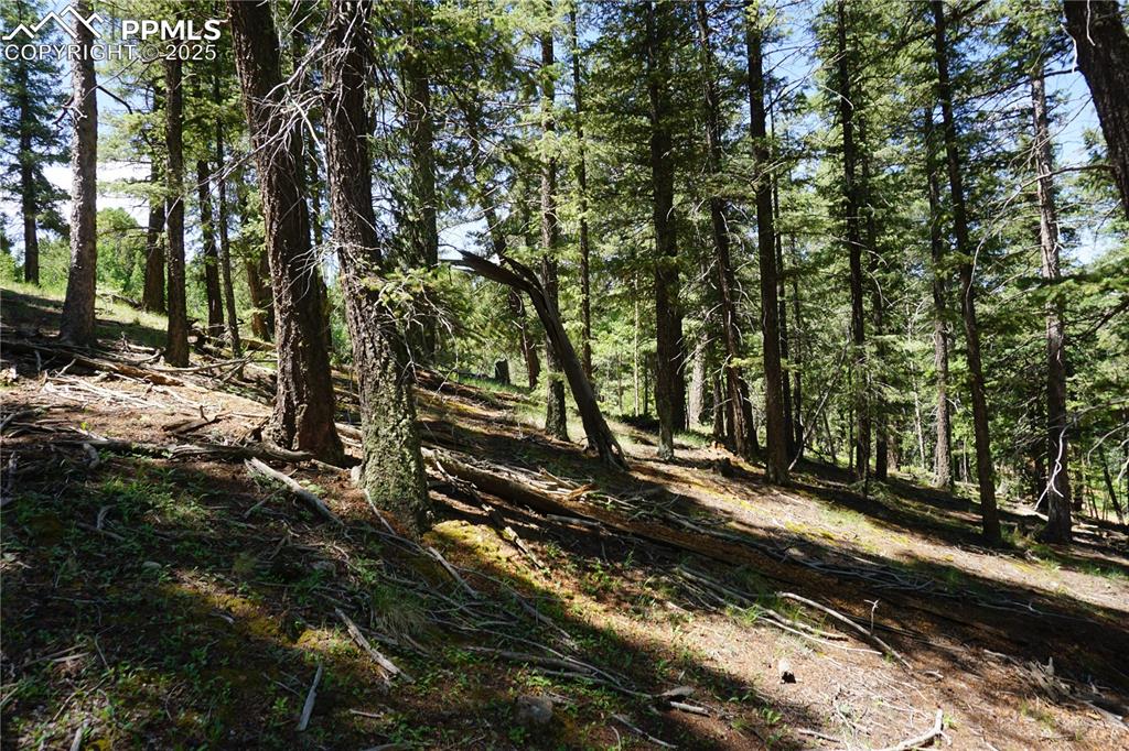 Image 18 of 22: Other