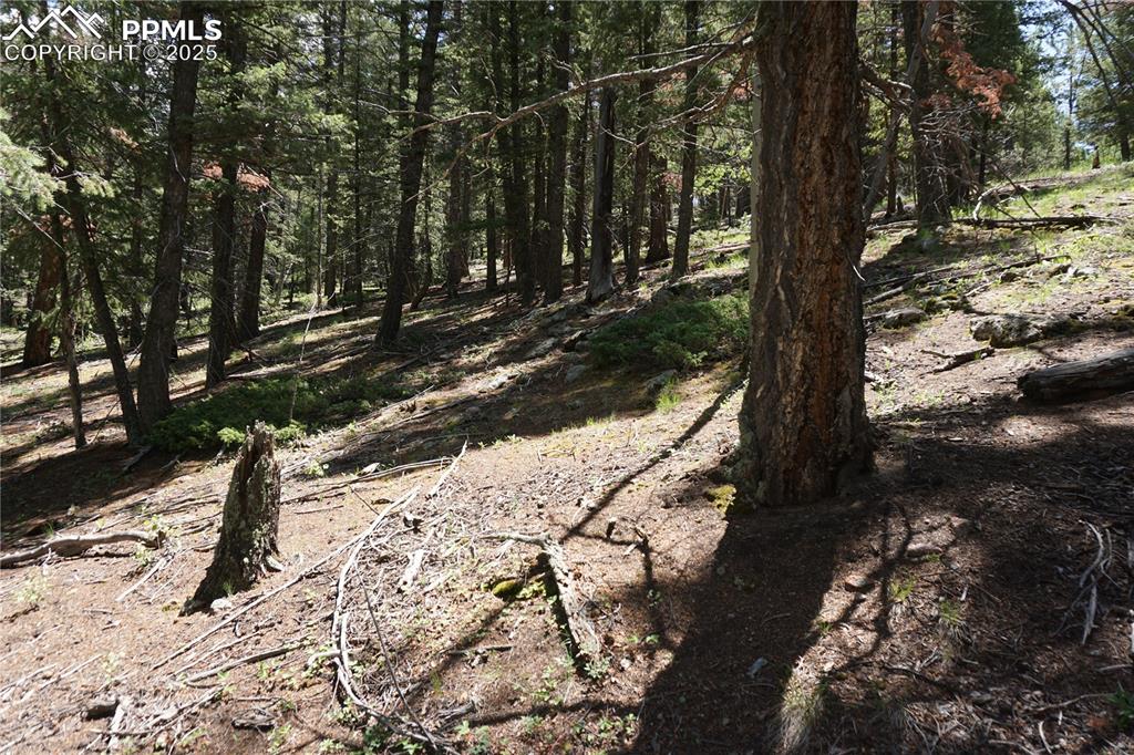 Image 19 of 22: Other