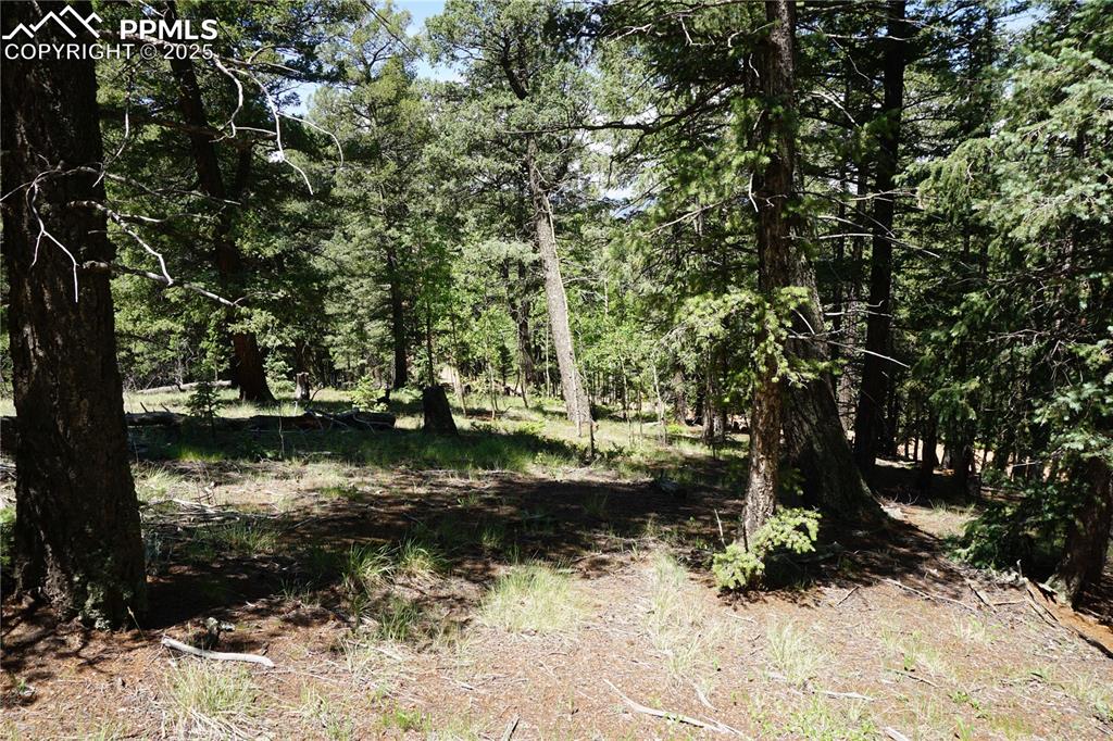 Image 2 of 22: Other