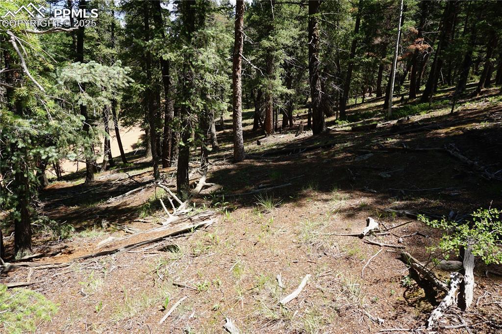 Image 3 of 22: Other